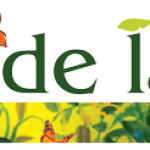 info@amiedelasante.ca