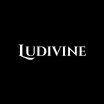 ludivinemtremblant@gmail.com
