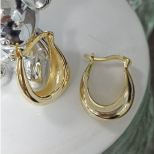 Gold Plated Earrings & Chunky Hoops - Trendy Statement Jewelry for Women